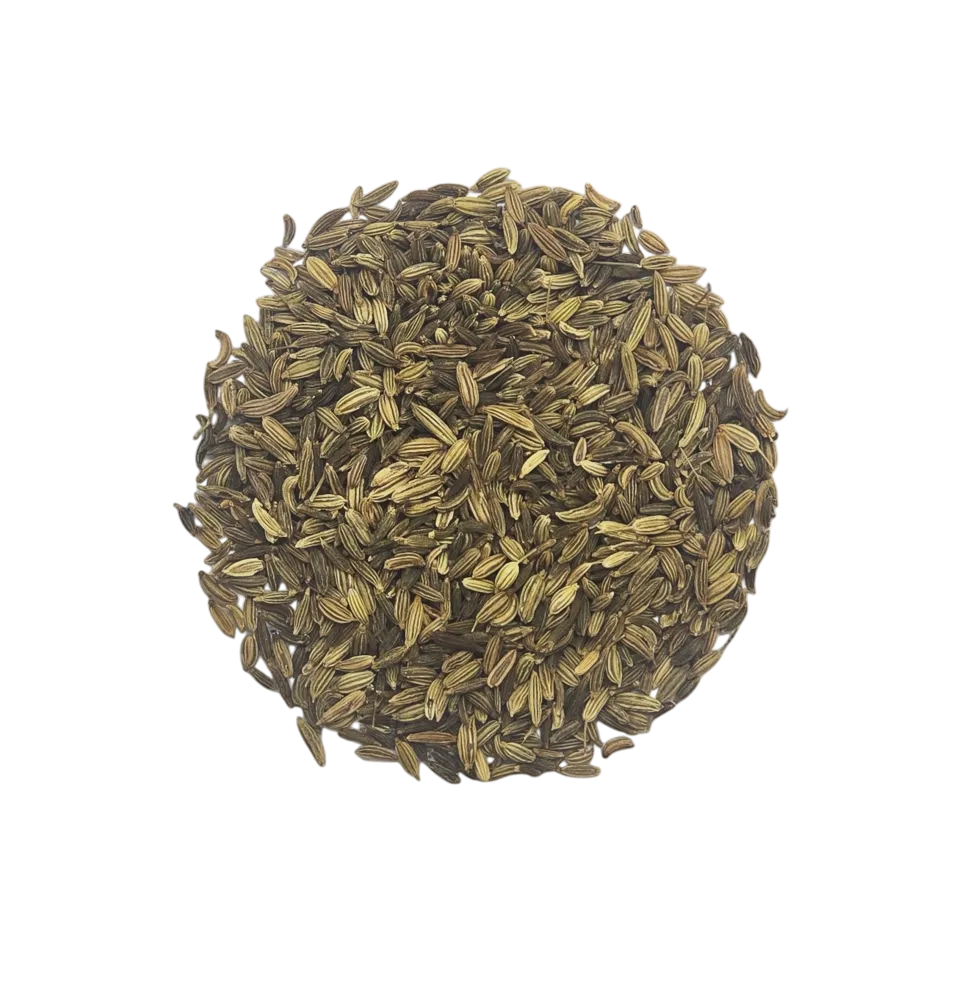 Bodywise - Fennel Seed 50g