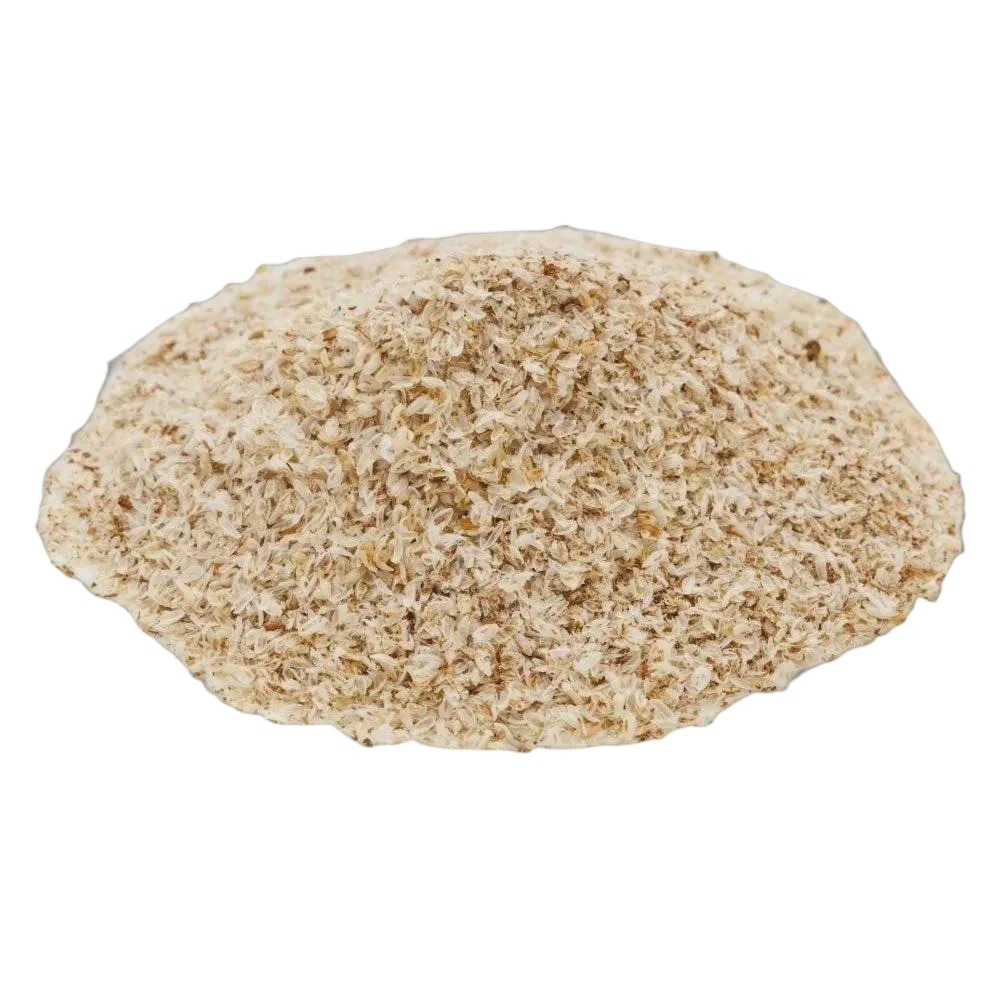 Bodywise - Psyllium Husk