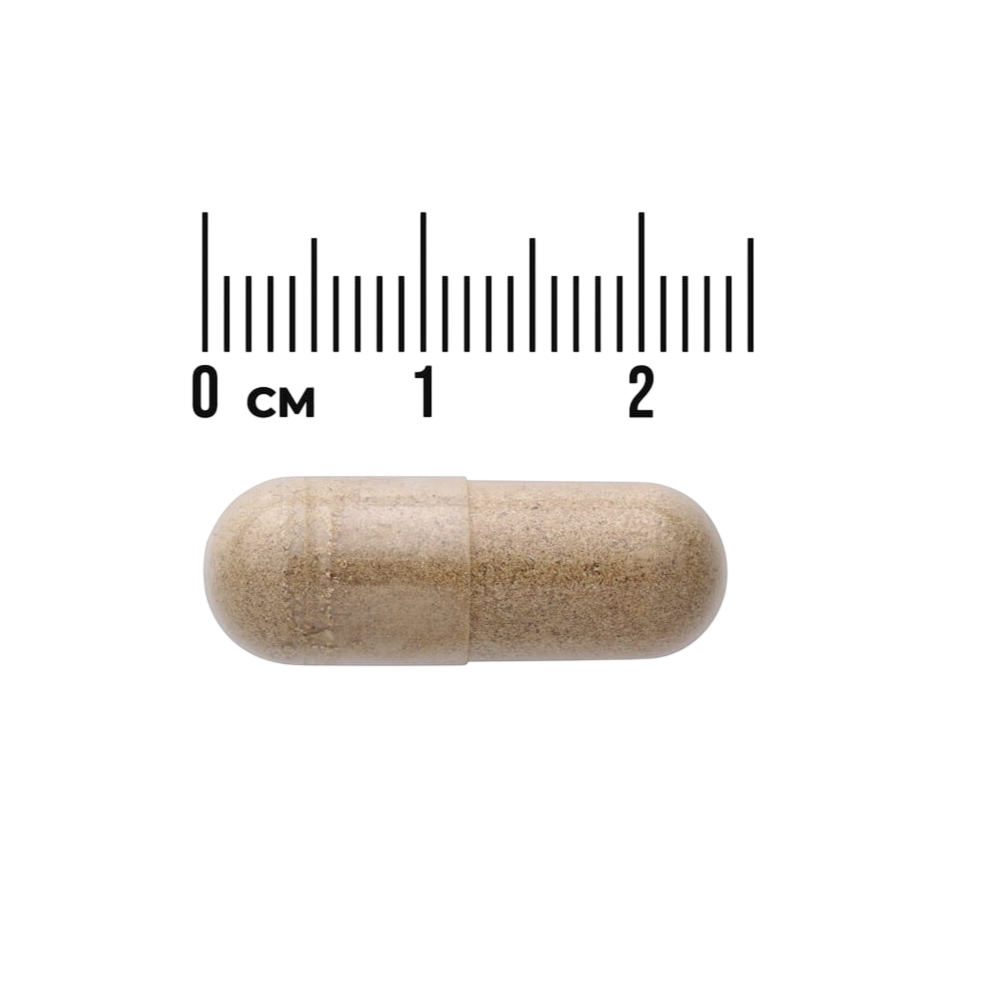 Swanson – Amla Fruit full Spectrum 500mg 120VC