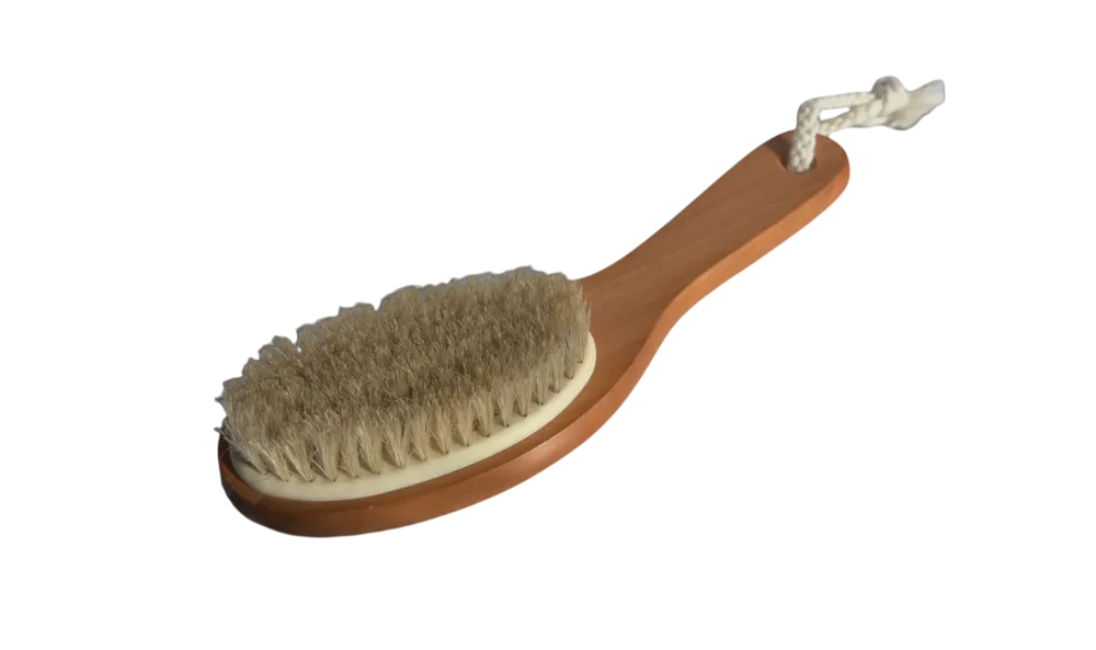 Bodywise - Brush Shower Long  Handle