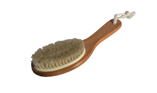 Bodywise - Brush Shower Long  Handle