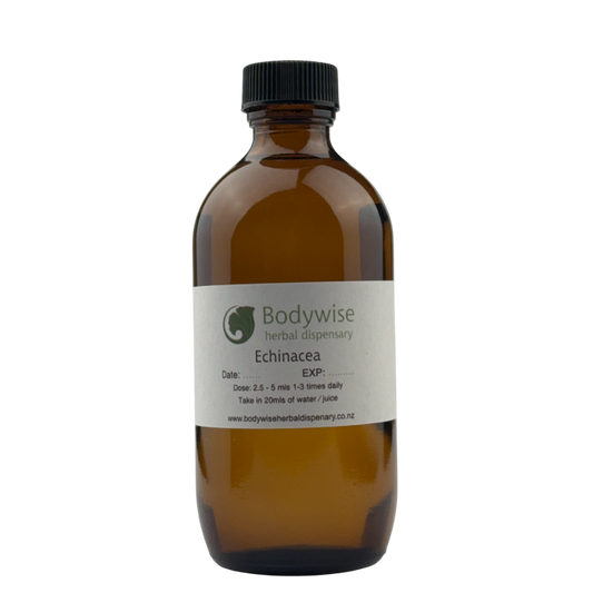 Bodywise Herbal Tonic - Echinacea
