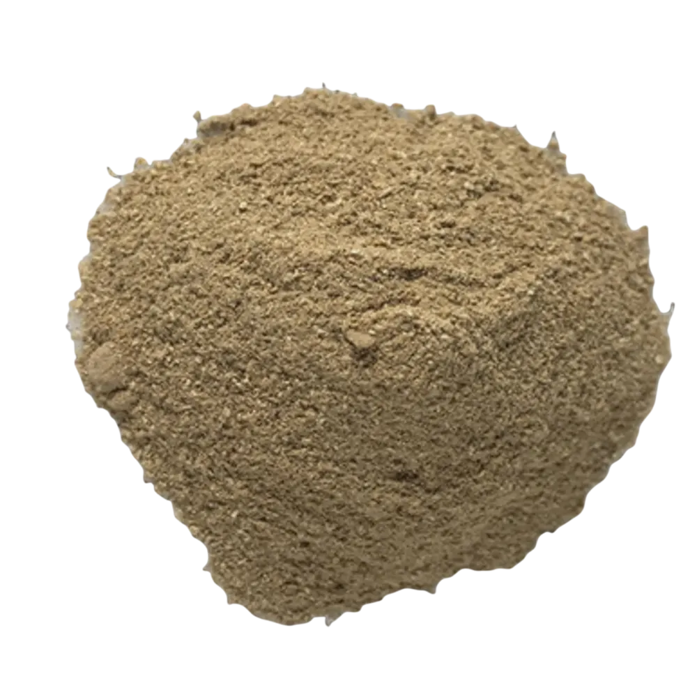 Bodywise - Dong Quai Root 50g