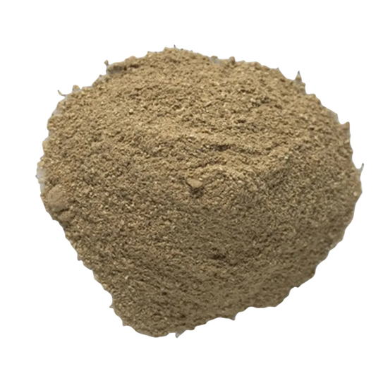 Bodywise - Dong Quai Root 50g