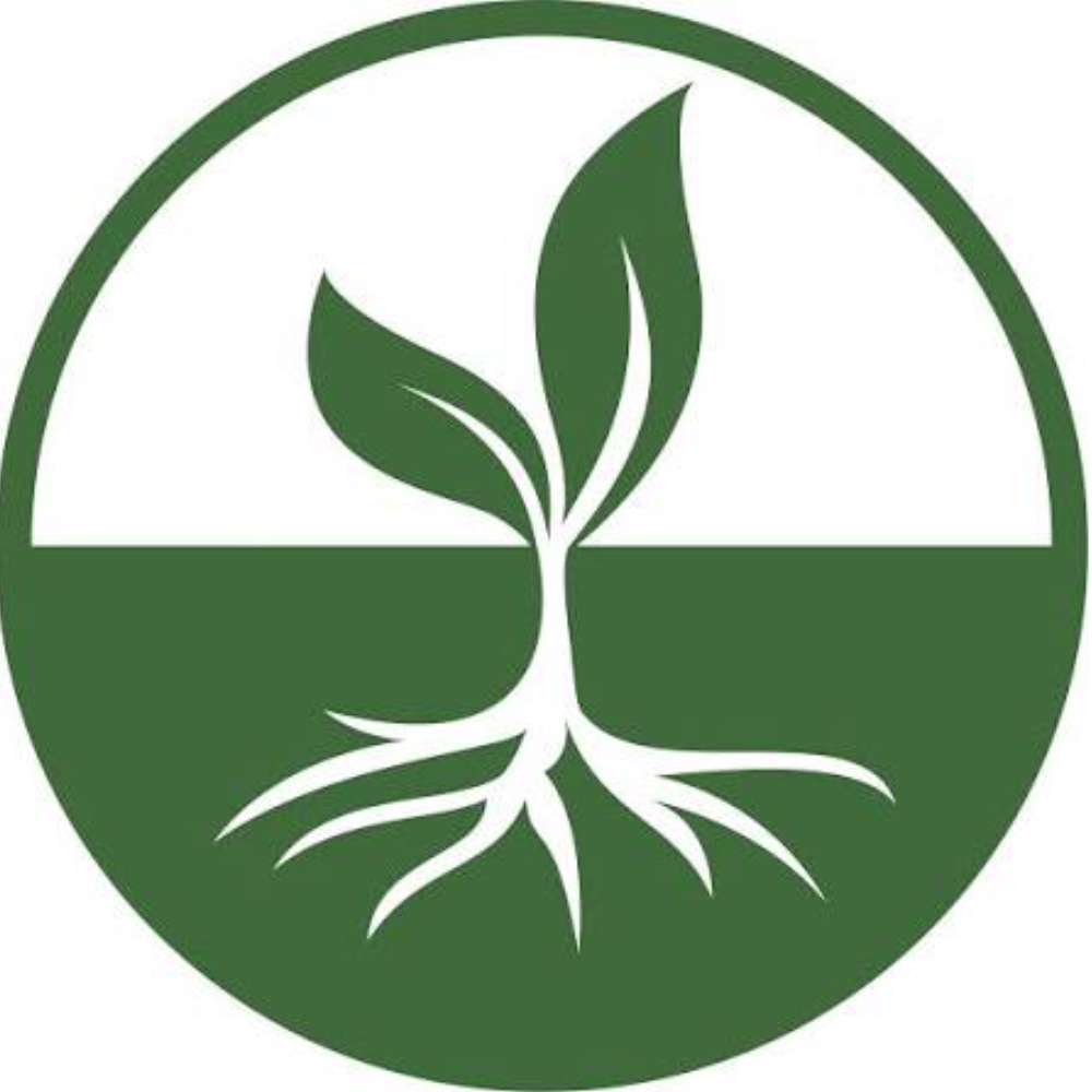 Phytomed - Phytomed Tinctures